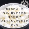 学生と作った【ミルキークイーン】無洗米/白米/分搗き/玄米 　令和6年産新米
