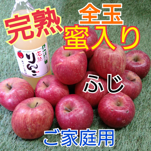 家庭用◆完熟蜜入りふじりんご＆ジュース(5kg箱)