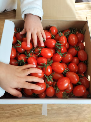 みんなの投稿の画像