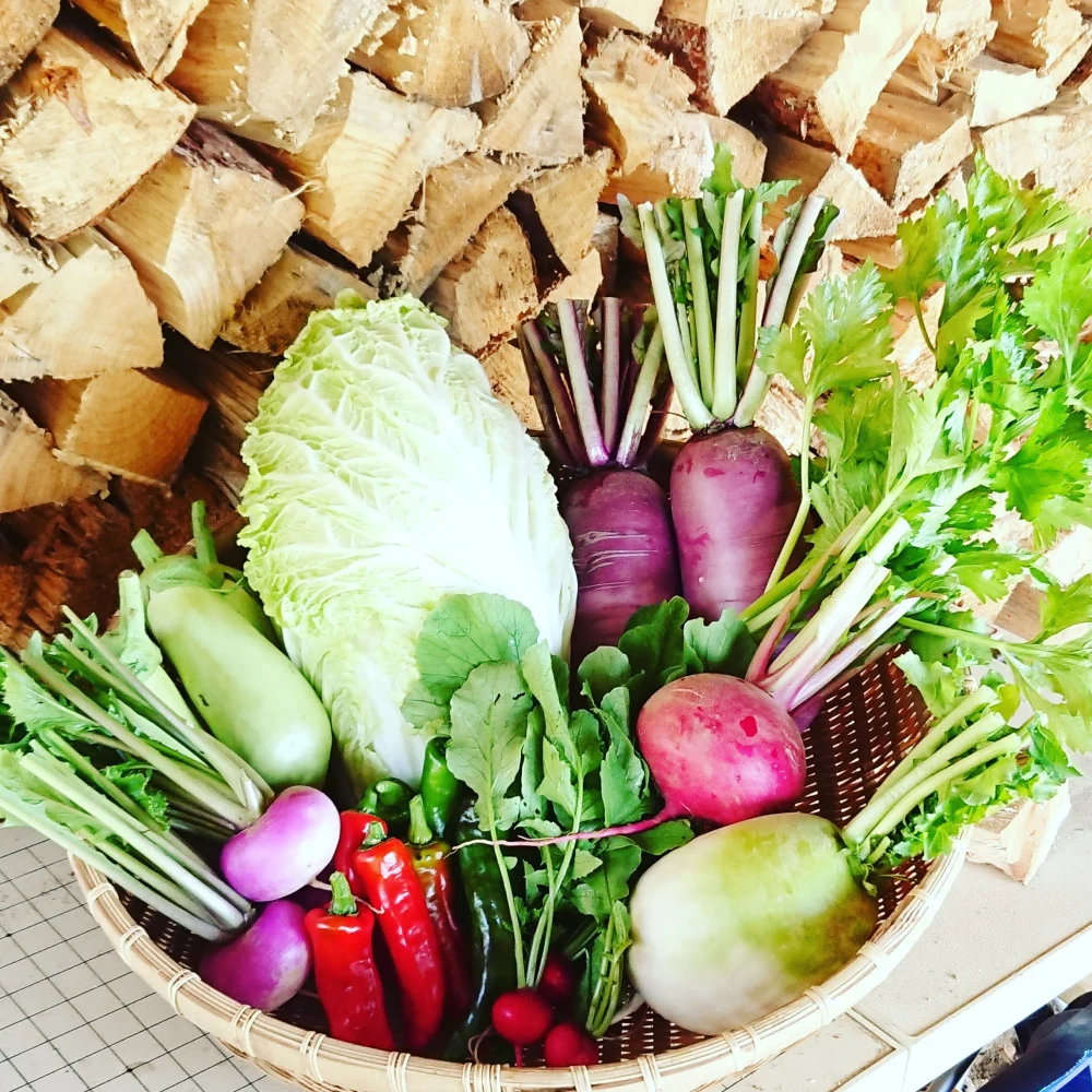 【2018秋 旬野菜セット】根菜もりもり。芋煮しようぜ。