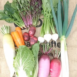 いち農園の冬の彩りお野菜セット