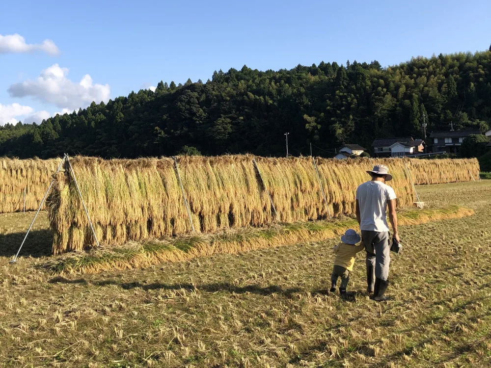 杵つき丸餅 玄米餅４袋セット