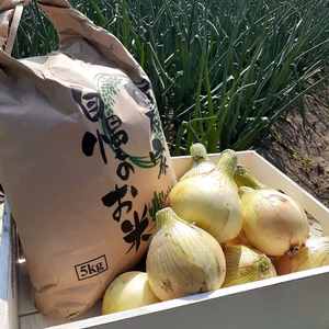 淡路島産玉ねぎ・お米セット
