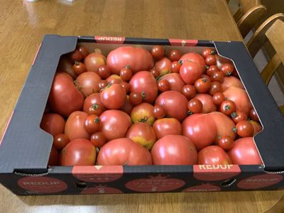 みんなの投稿の画像