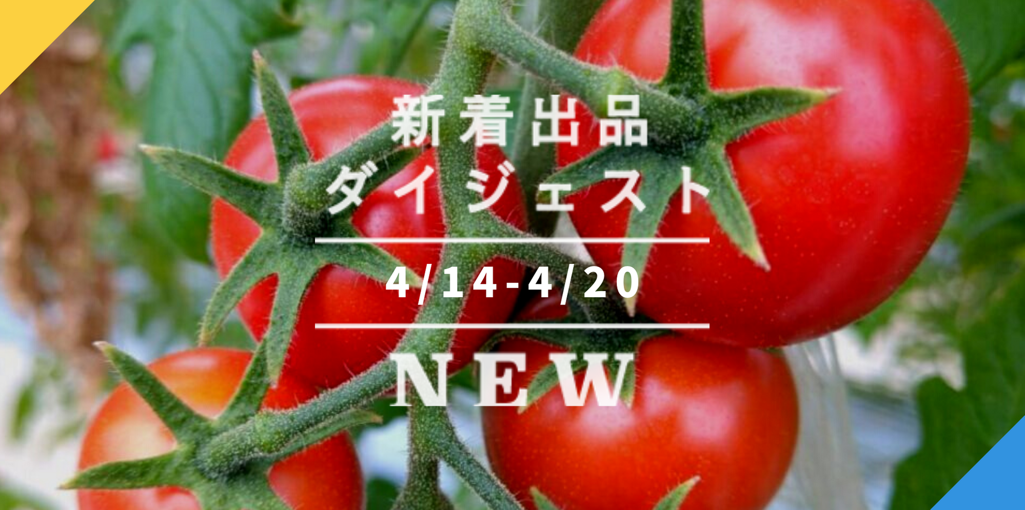 バックナンバー]春トマトに注目だ〜????今週のおすすめ新着出品[2021年4月23日編] | 農家漁師から産地直送の通販 ポケットマルシェ
