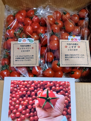 みんなの投稿の画像