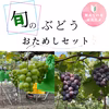 お試しパック（450g×4）シャインマスカット2房お約束‼︎