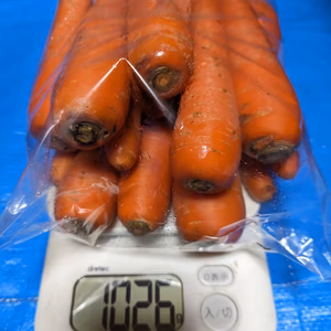 甘くて濃い、八ヶ岳高原のにんじん　中（農薬・化学肥料不使用）