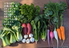 有機JAS認証おまかせ野菜☆80サイズ箱詰め