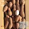 【絶品】種子島産 安納芋 B品（S〜Mサイズ）｜aimo農園