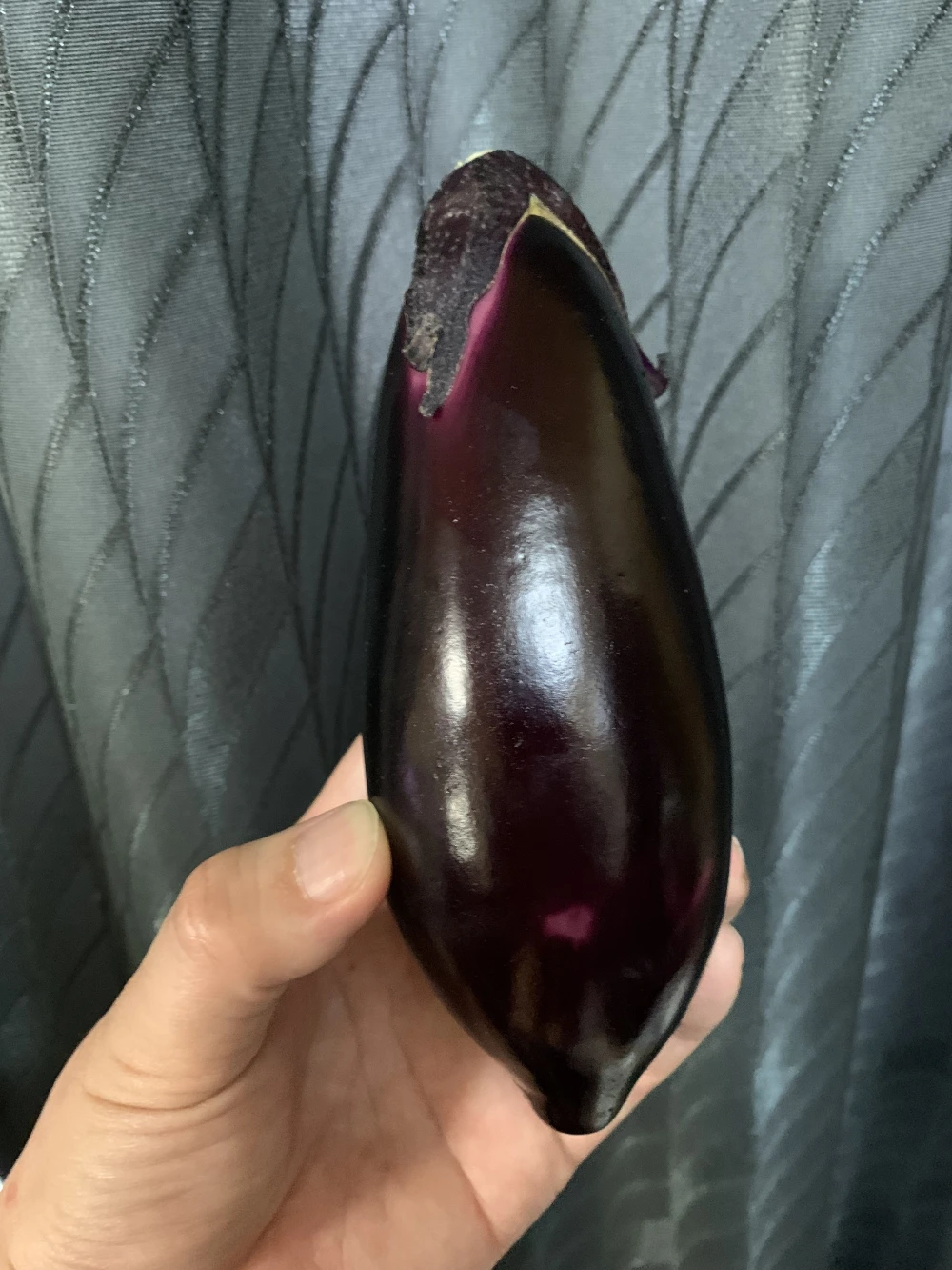 とげなし輝楽（お試しワケありナス）1kg(7~9本)
