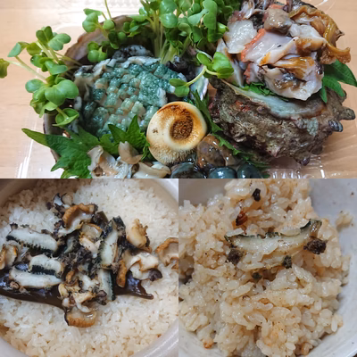 みんなの投稿の画像