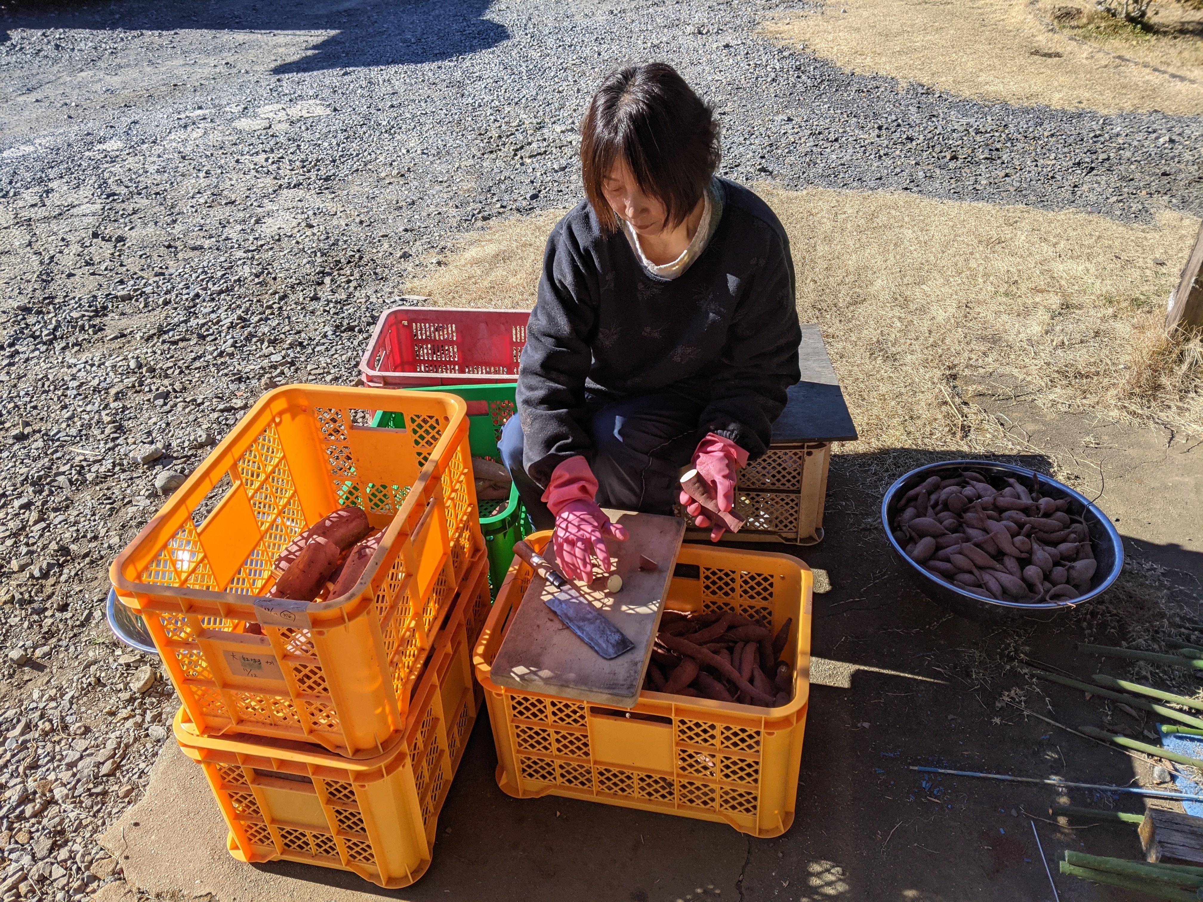 石やきいも マルシェのお供に 農家 JA 軽トラ 副業 脱サラ フリマ販売 農業 石やきいも マルシェのお供に 農家 JA 軽トラ 副業 脱サラ フリマ販売 農業