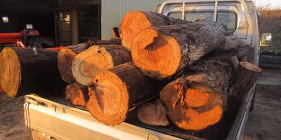 卵の裏にある「自然の恩恵」と「循環」