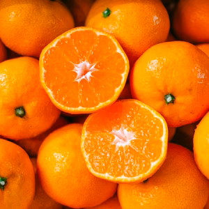 【大玉サイズ限定】五代目が厳選した愛媛みかん