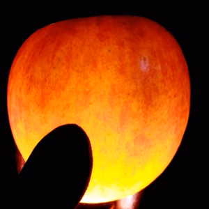 緊急追加☆[ビッシリ家庭用]輝く美味しさ※秋田の馬鞍りんご