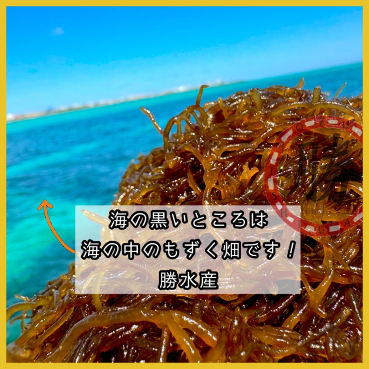 ☆沖縄県石垣島産もずく【味付け500g】中サイズ｜水産加工品の商品詳細