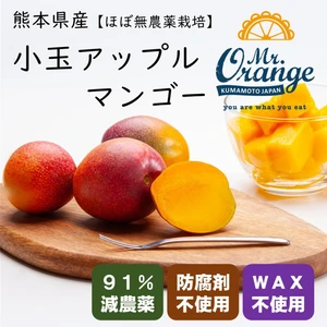 【ほぼ無農薬栽培】食べ切りサイズのアップルマンゴー（ワケあり・小玉）