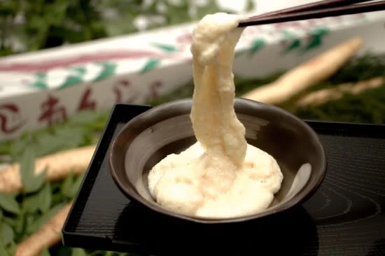 熊本の人吉盆地で粘り強く育った自然薯1.3kg(1〜2本)