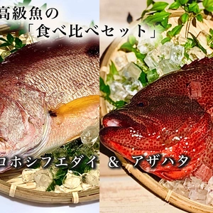【本日15時まで！】送料無料！高級魚の「食べ比べセット」（2匹)