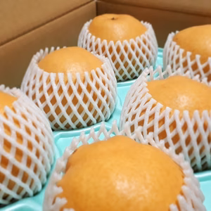 R5　【自家用】 新興梨3キロ　（6玉）