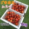 ご家庭用●良品●さくらんぼ紅秀峰 ※常温便7月初旬発送予定