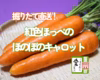 【エコえひめ認証人参】 掘りたて直送！「ほのぼのキャロット」