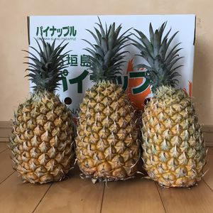 沖縄県石垣島産大玉スナックパイン6個入り