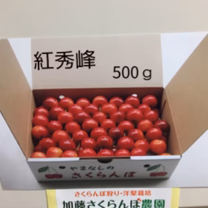 大粒！紅秀峰！6月下旬から発送！！甘くて美味しい山梨県産