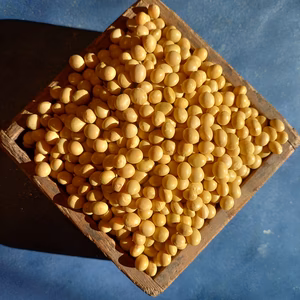 令和7年産  大豆　シュウレイ（有機JAS認証）