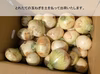 新玉ねぎ ジューシーかつ甘い！佐賀県産玉ねぎ 極早生『貴錦』