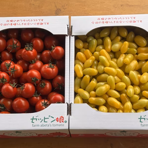 【T1.8】×【Z1.8】ティポも華おとめも食べたい方へ。