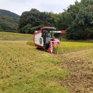 新米（夢つくし）令和3年産