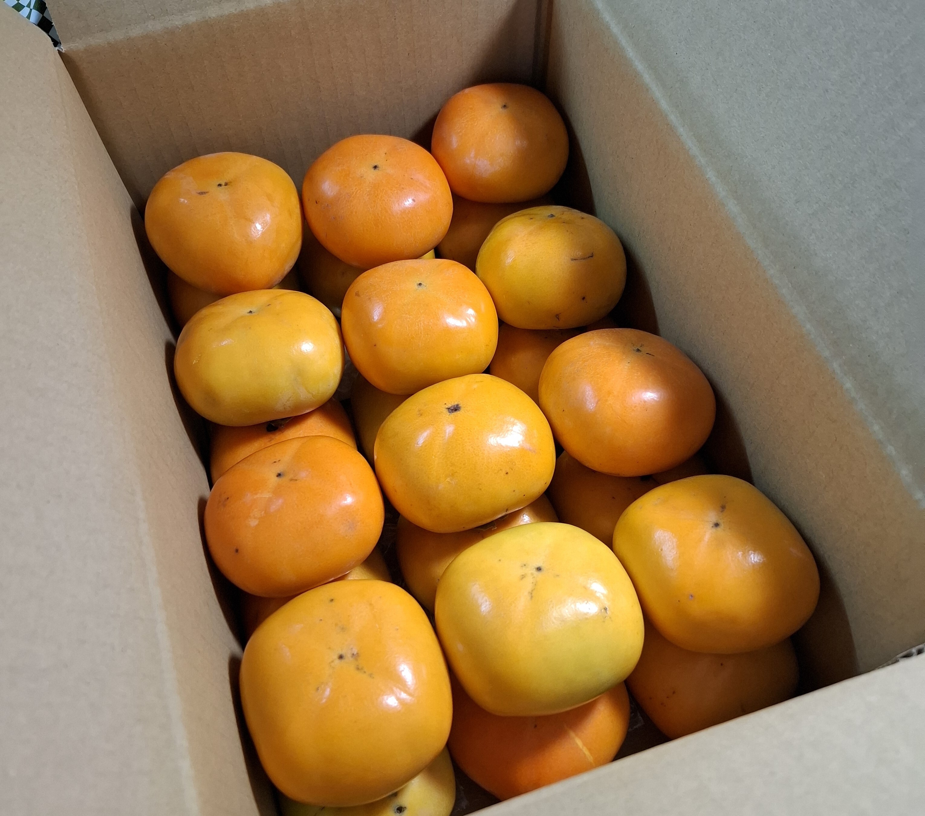 たねなし柿 (箱込み5kg以内・約20～30個入り）・ご家庭用｜柿の商品