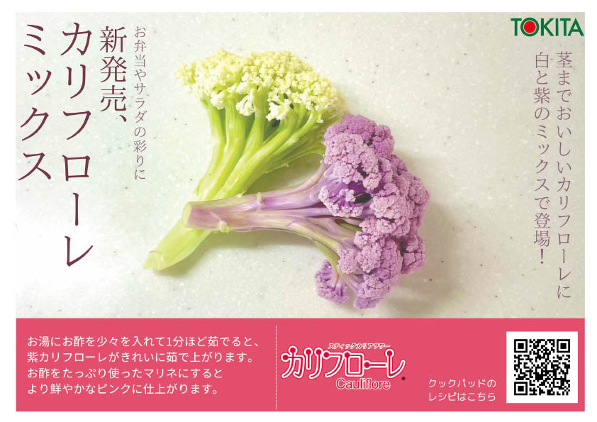 新顔野菜 カリフローレMIX 1㎏｜ブロッコリー・カリフラワーの商品詳細｜ポケットマルシェ｜産地直送で旬の食材が生産者(農家・漁師)から届く