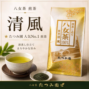 2026年新茶✨️当店人気八女茶煎茶清風