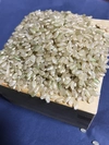 五百川(玄米)　農薬・除草剤・化学肥料不使用　令和２年産