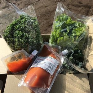 農薬や化学肥料を使わずに栽培した野菜と、にんじん100%ジュースの詰合わせセット