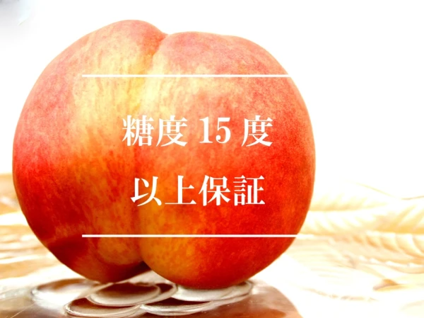 秀品7月中〜和歌山糖度トップクラス感動完熟桃【糖度15度以上保証】