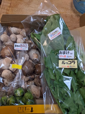 みんなの投稿の画像