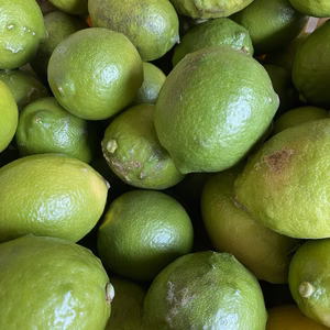 訳あり果汁用　大三島グリーンレモン【ワックス・防腐剤フリー•瀬戸内レモン】