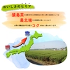 【送料無料】プレミアムくきほうじ茶／50g 猿島茶 松田製茶 茨城県産
