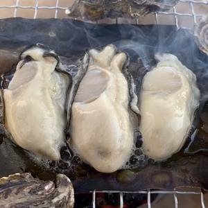 美味しさ、鮮度に自信あり！ 広島県産牡蠣むき身　生食用　700g