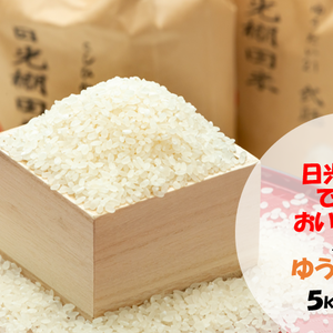 日光棚田米 ゆうだい21 精米5kg 栃木県日光市産
