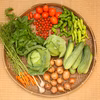 【無農薬・無肥料　生命力溢れる】旬野菜セット大