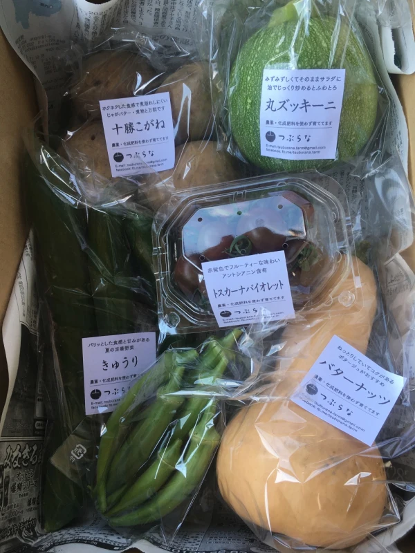 山梨県韮崎市から送る旬の野菜セット