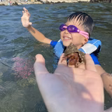 どらららら右衛門