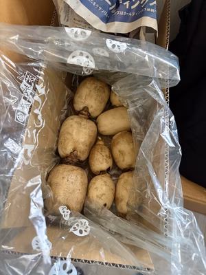 みんなの投稿の画像