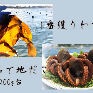 ◎弥春丸　二枚看板　『1番獲り生わかめ』と『浜茹で地だこ(200g台)』セット