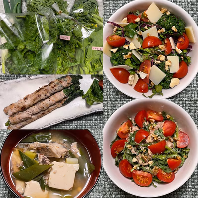 みんなの投稿の画像